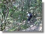 Ferran_182.jpg(245 KB)