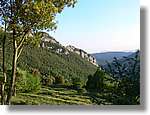 Ferran_210.jpg(155 KB)
