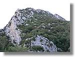 Ferran_220.jpg(133 KB)