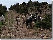 Lleras_096.jpg