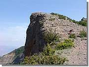 Lleras_115.jpg