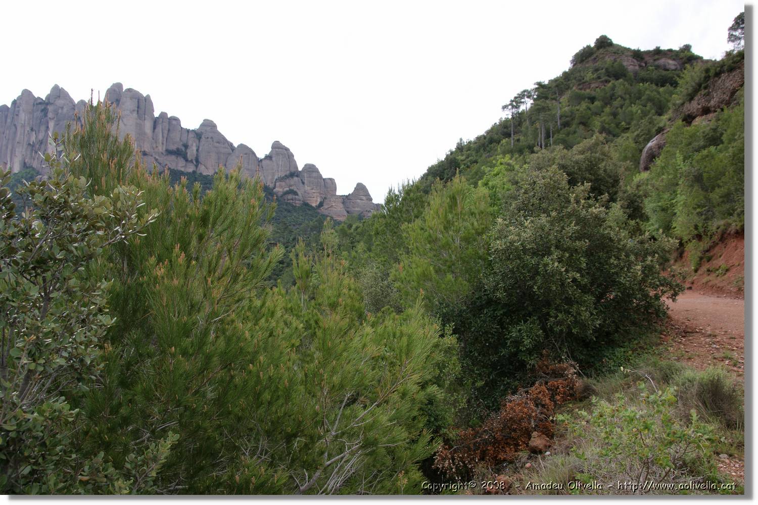Montserrat_012.jpg