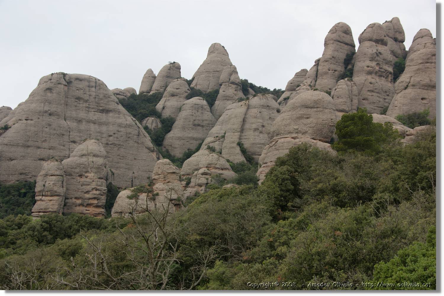 Montserrat_041.jpg