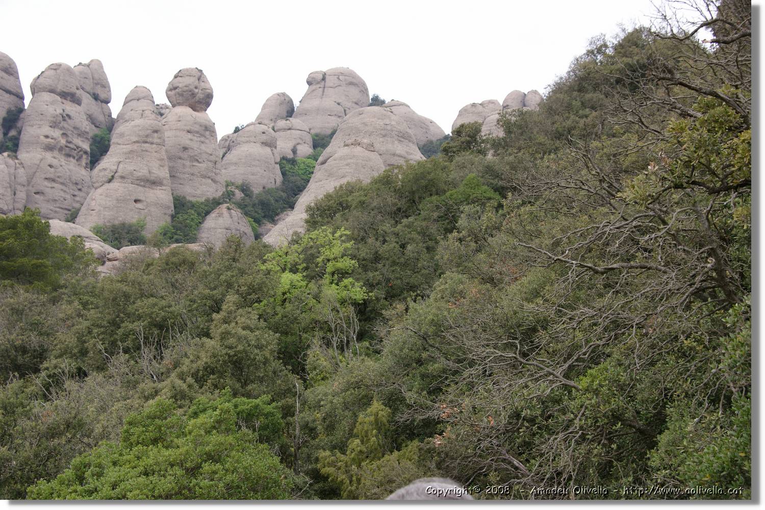 Montserrat_043.jpg