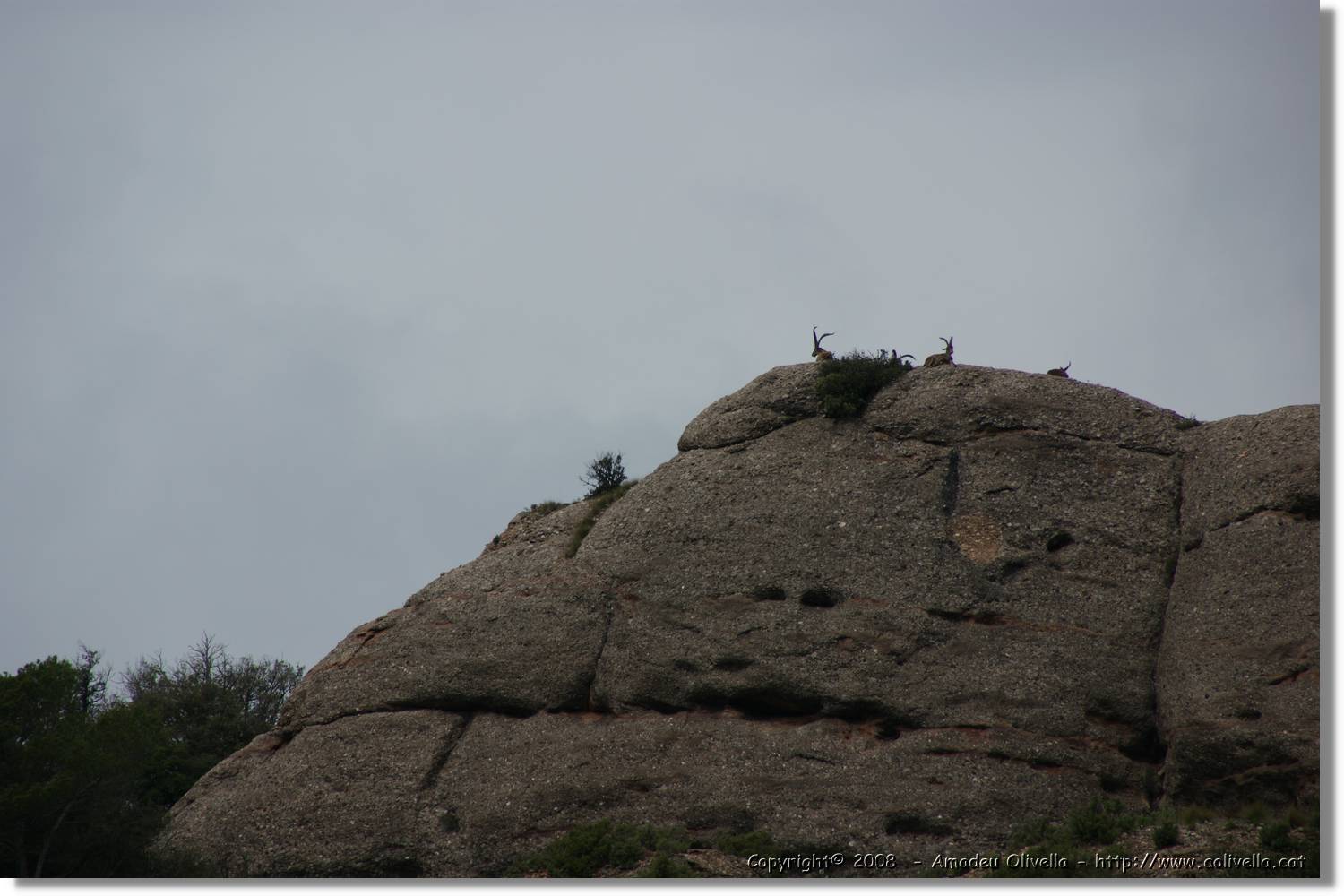 Montserrat_066.jpg