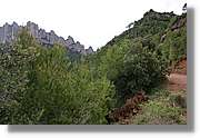 Montserrat_012.jpg(233 KB)