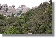 Montserrat_043.jpg(287 KB)