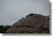 Montserrat_066.jpg(126 KB)