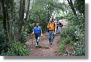 Montserrat_085.jpg(376 KB)