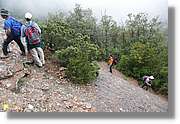 Montserrat_109.jpg(303 KB)
