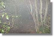 Montserrat_120.jpg(181 KB)