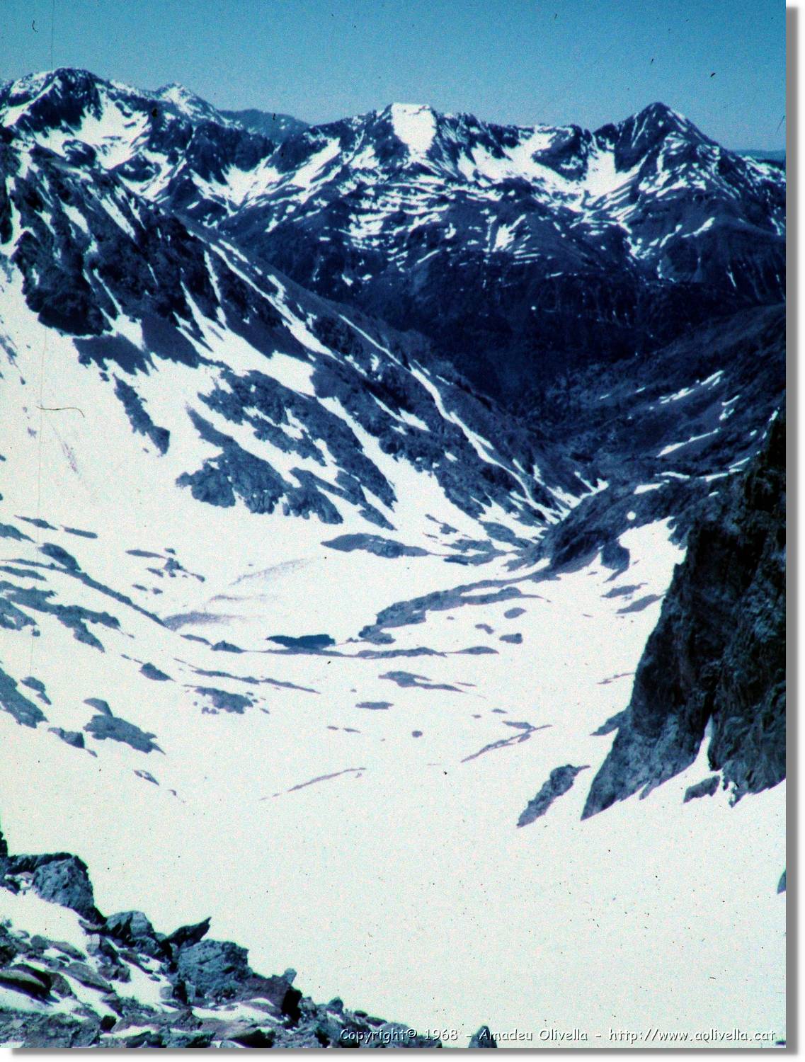 Pica_24.jpg