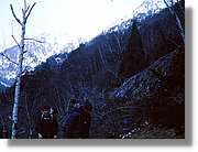 Pica_07.jpg