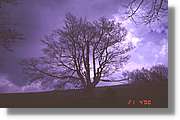 Garrotxa_027.jpg