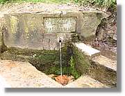 Emporda_15.jpg