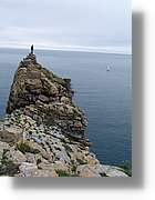 Norfeu_110.jpg