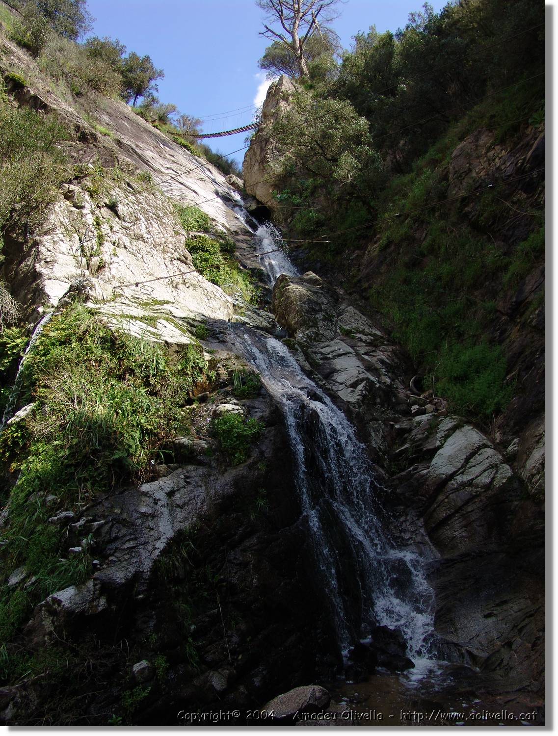 Salenys_058.jpg