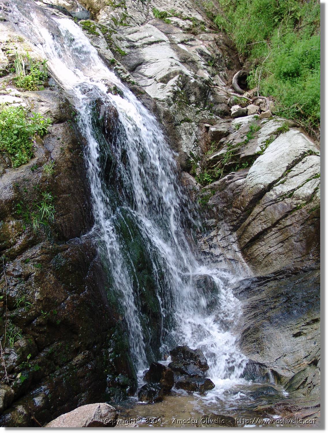 Salenys_060.jpg