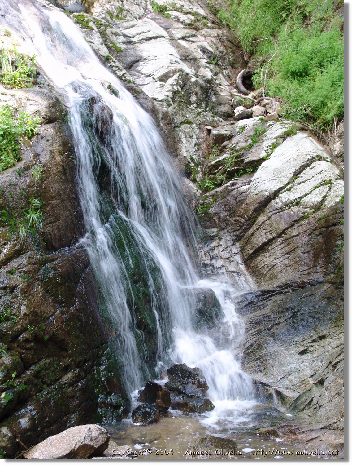 Salenys_061.jpg