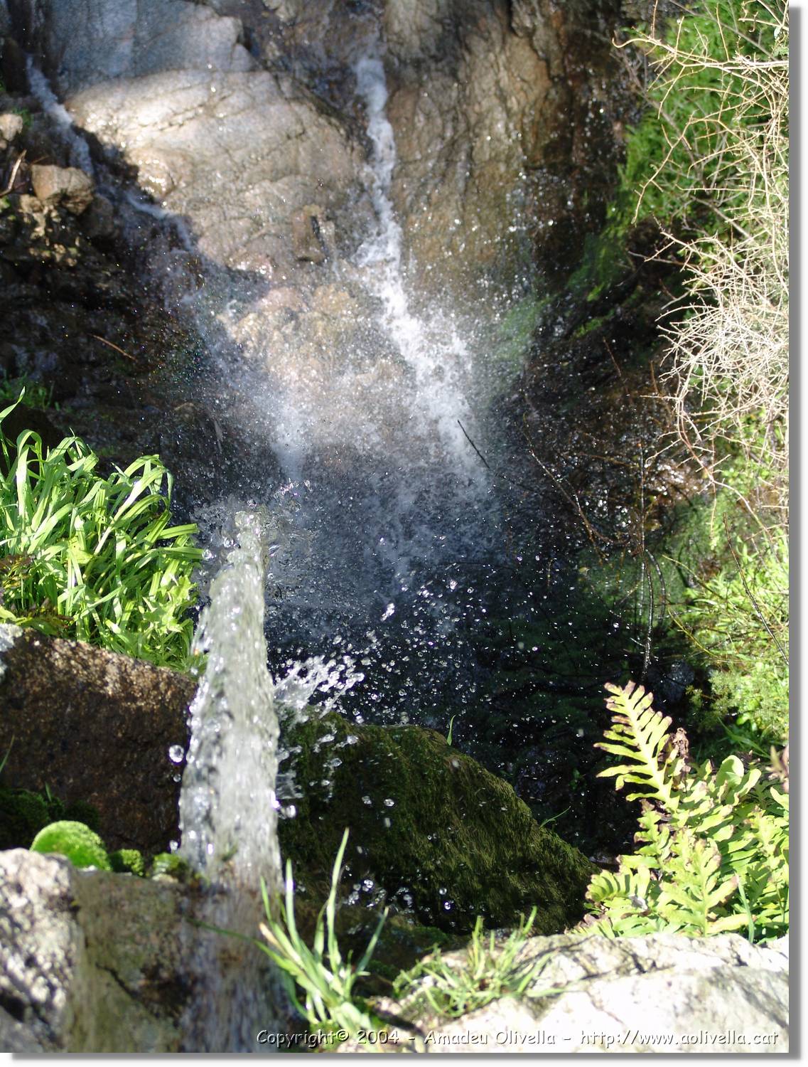 Salenys_073.jpg
