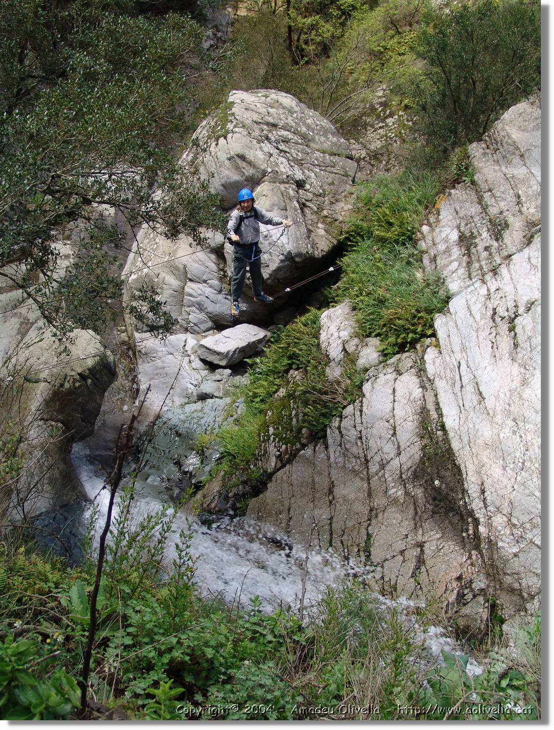 Salenys_090.jpg