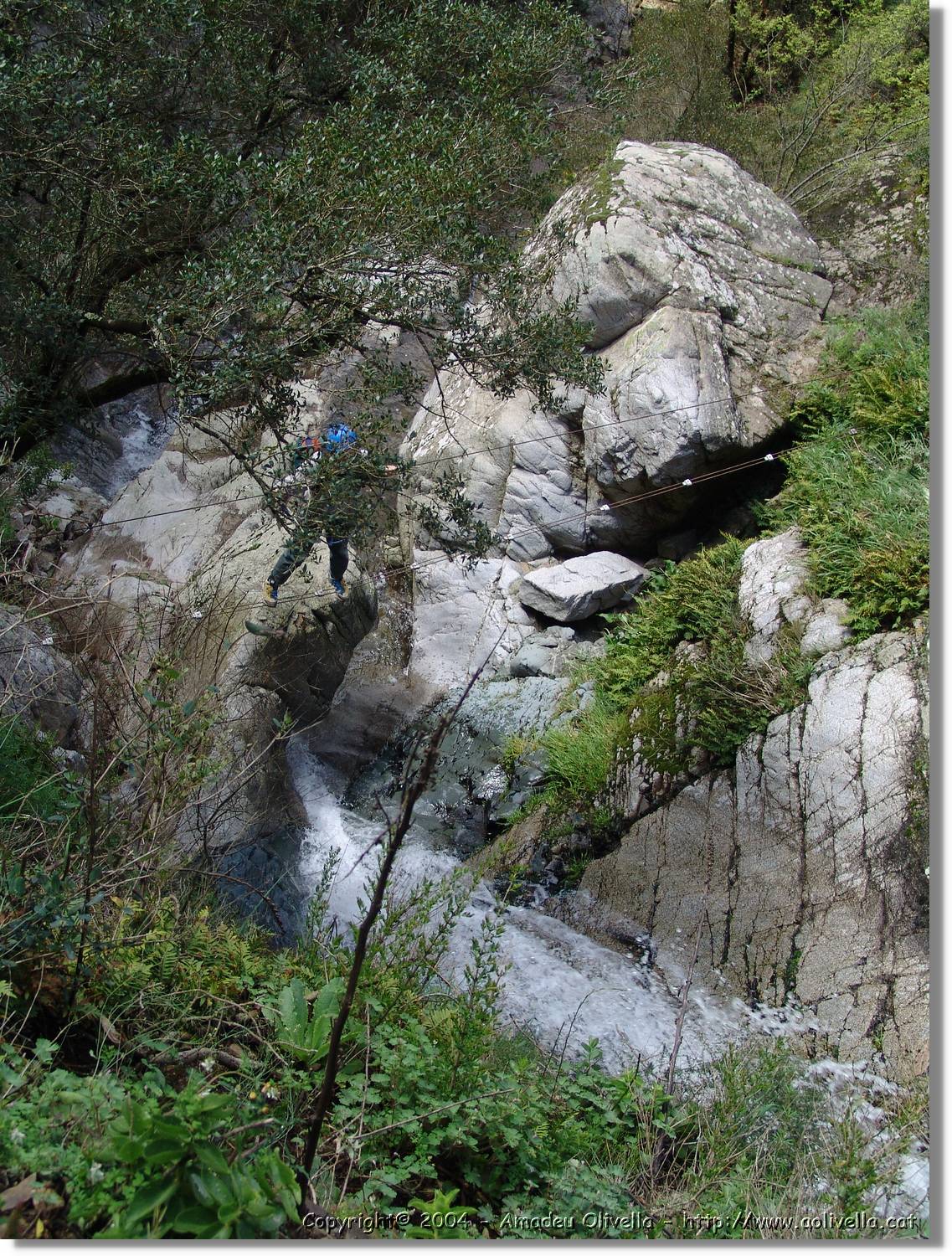 Salenys_091.jpg
