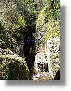 Salenys_028.jpg