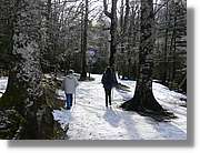 07_Ordesa_181.jpg(361 KB)