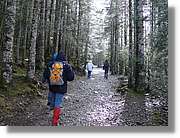 07_Ordesa_182.jpg(462 KB)