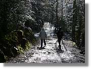 07_Ordesa_186.jpg(430 KB)