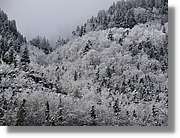 07_Ordesa_190.jpg(422 KB)