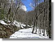 07_Ordesa_310.jpg(410 KB)