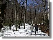 07_Ordesa_311.jpg(351 KB)