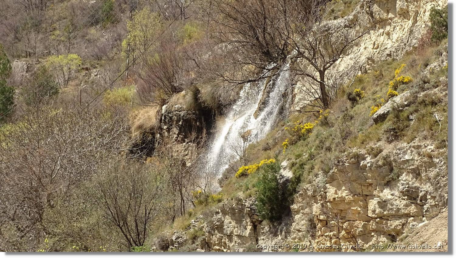 Pitarque_059.jpg