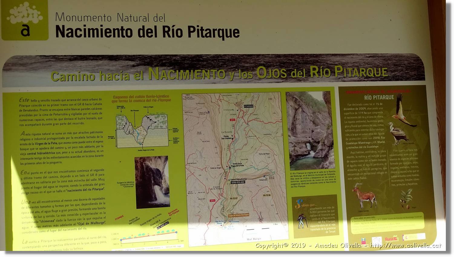 Pitarque_062.jpg