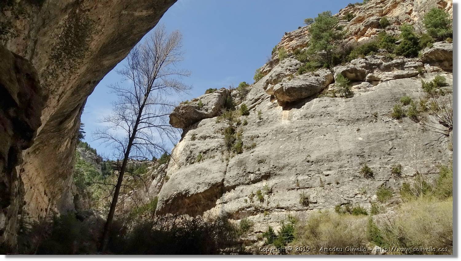 Pitarque_113.jpg