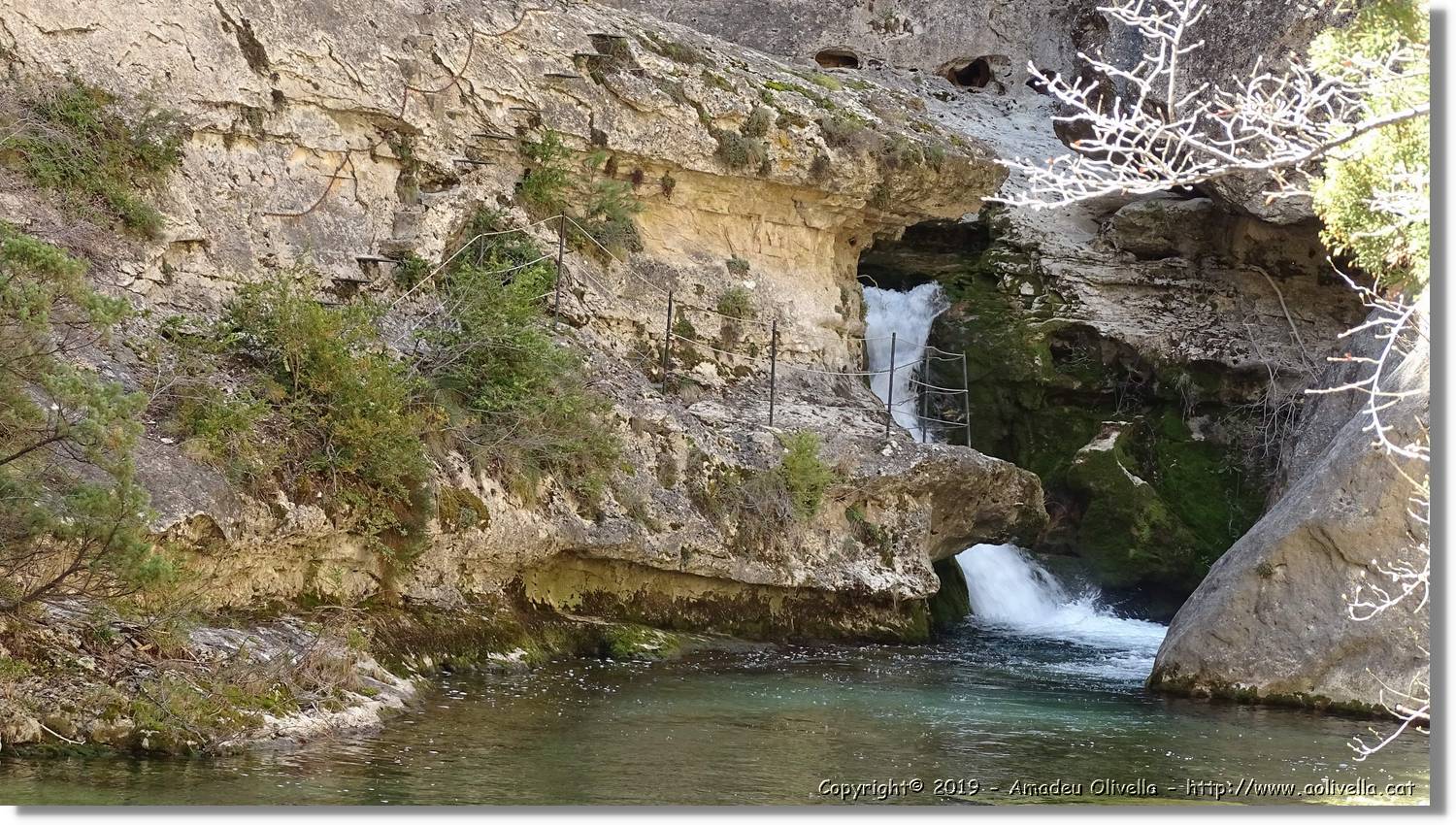 Pitarque_126.jpg