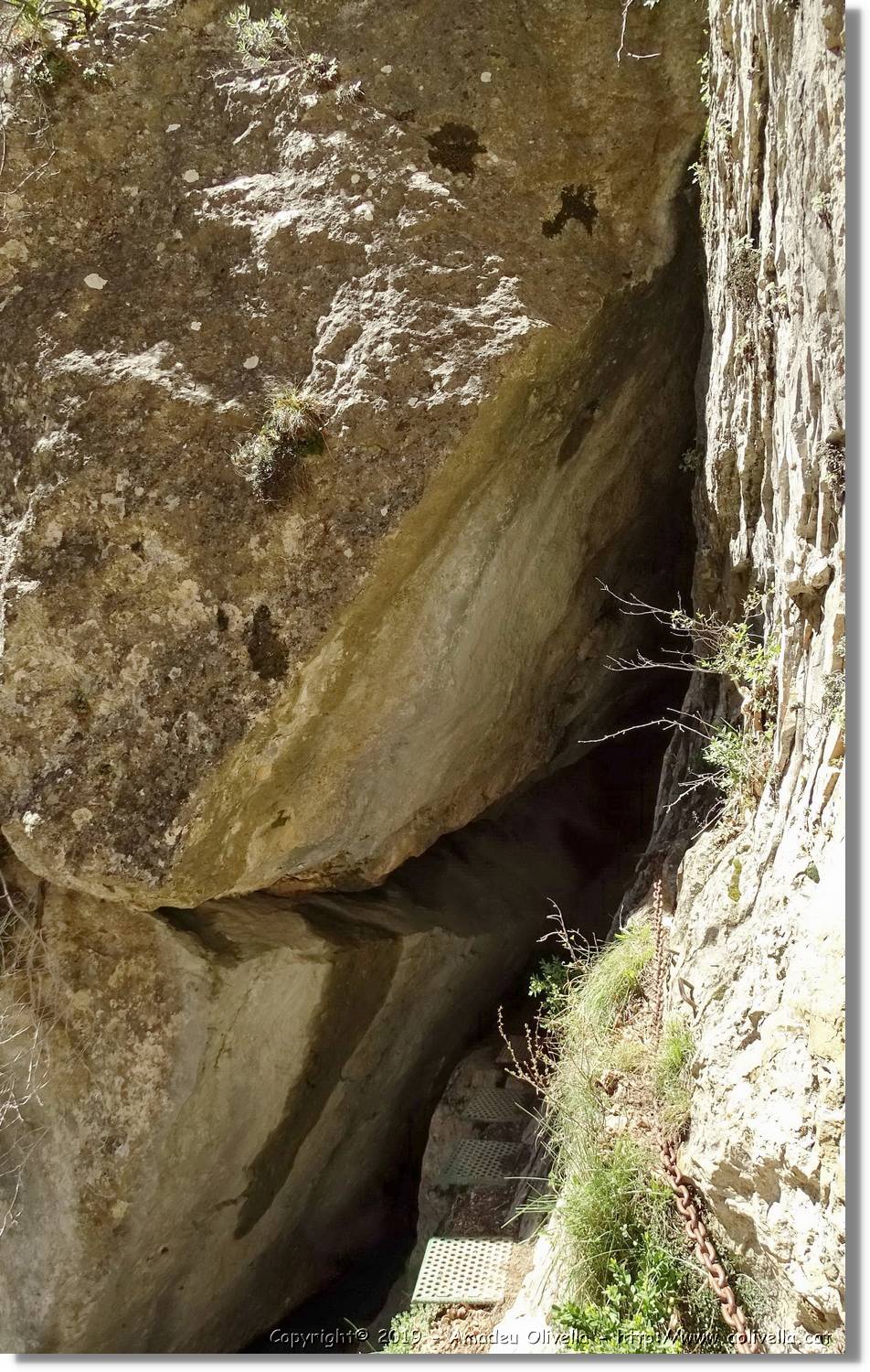 Pitarque_129.jpg