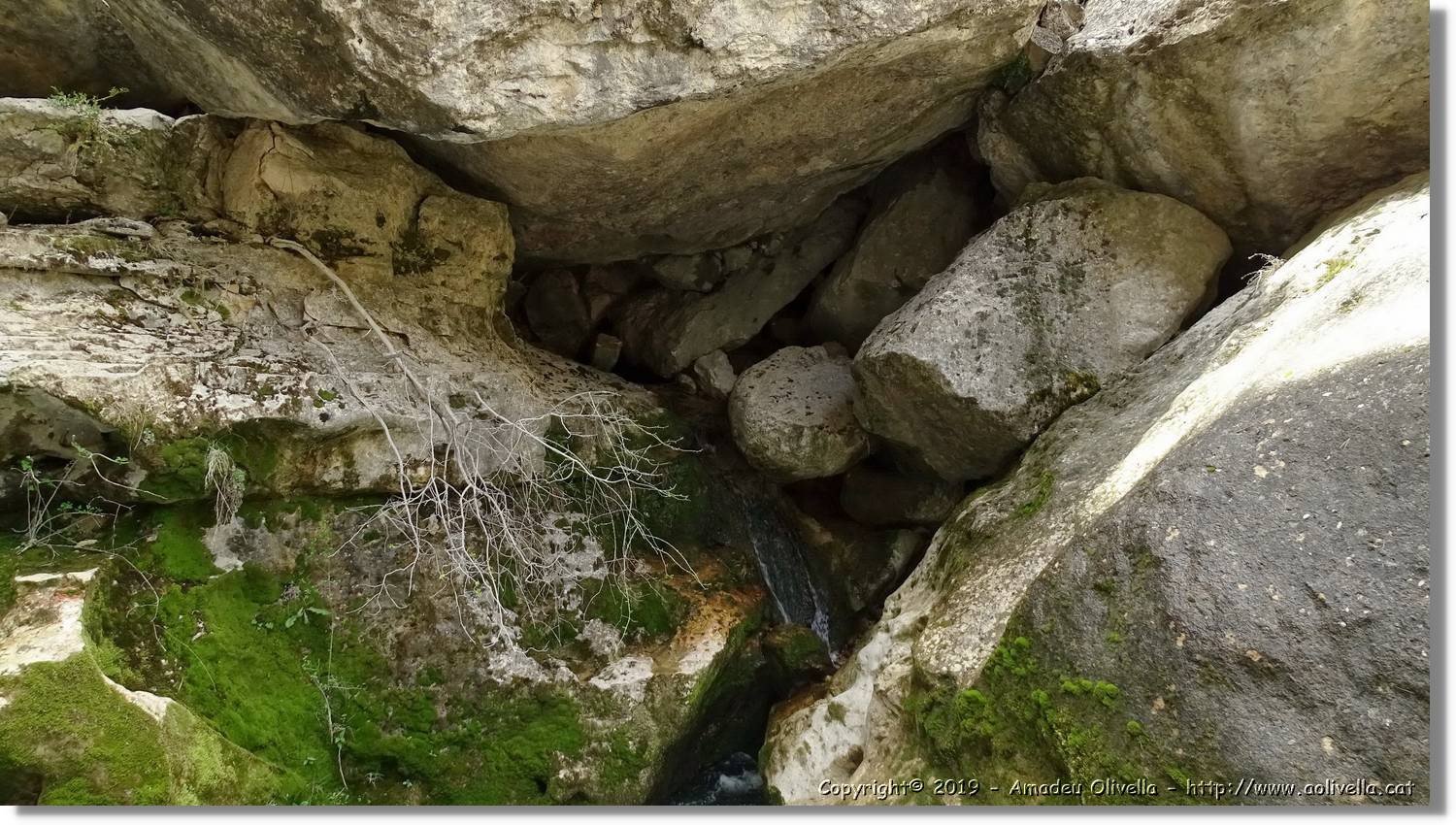 Pitarque_136.jpg