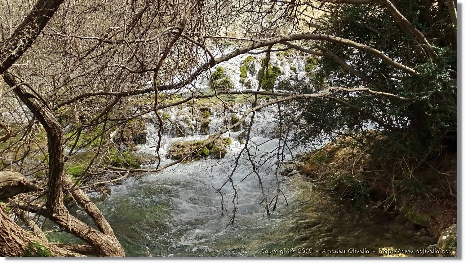 Pitarque_159.jpg