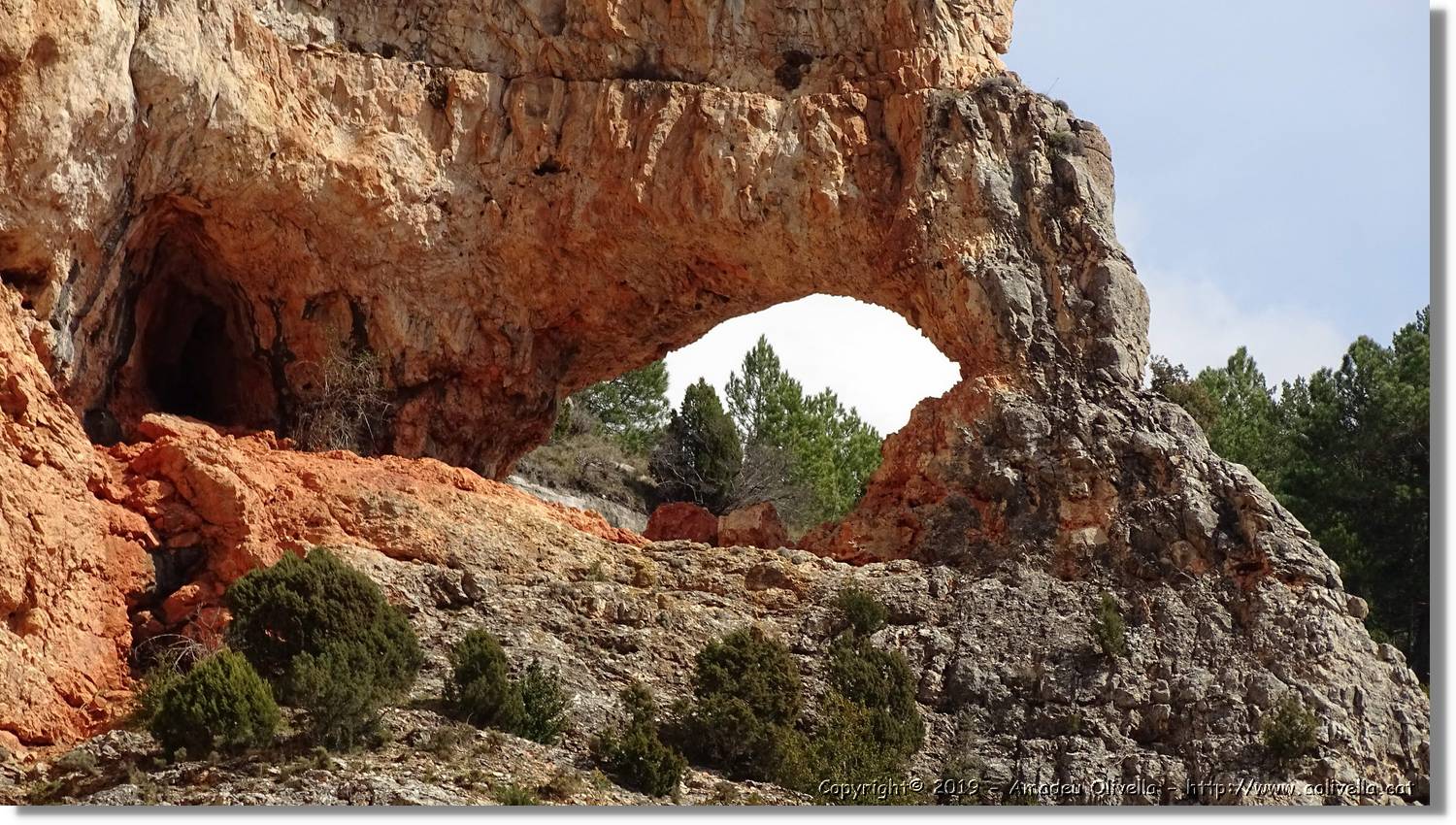 Pitarque_163.jpg