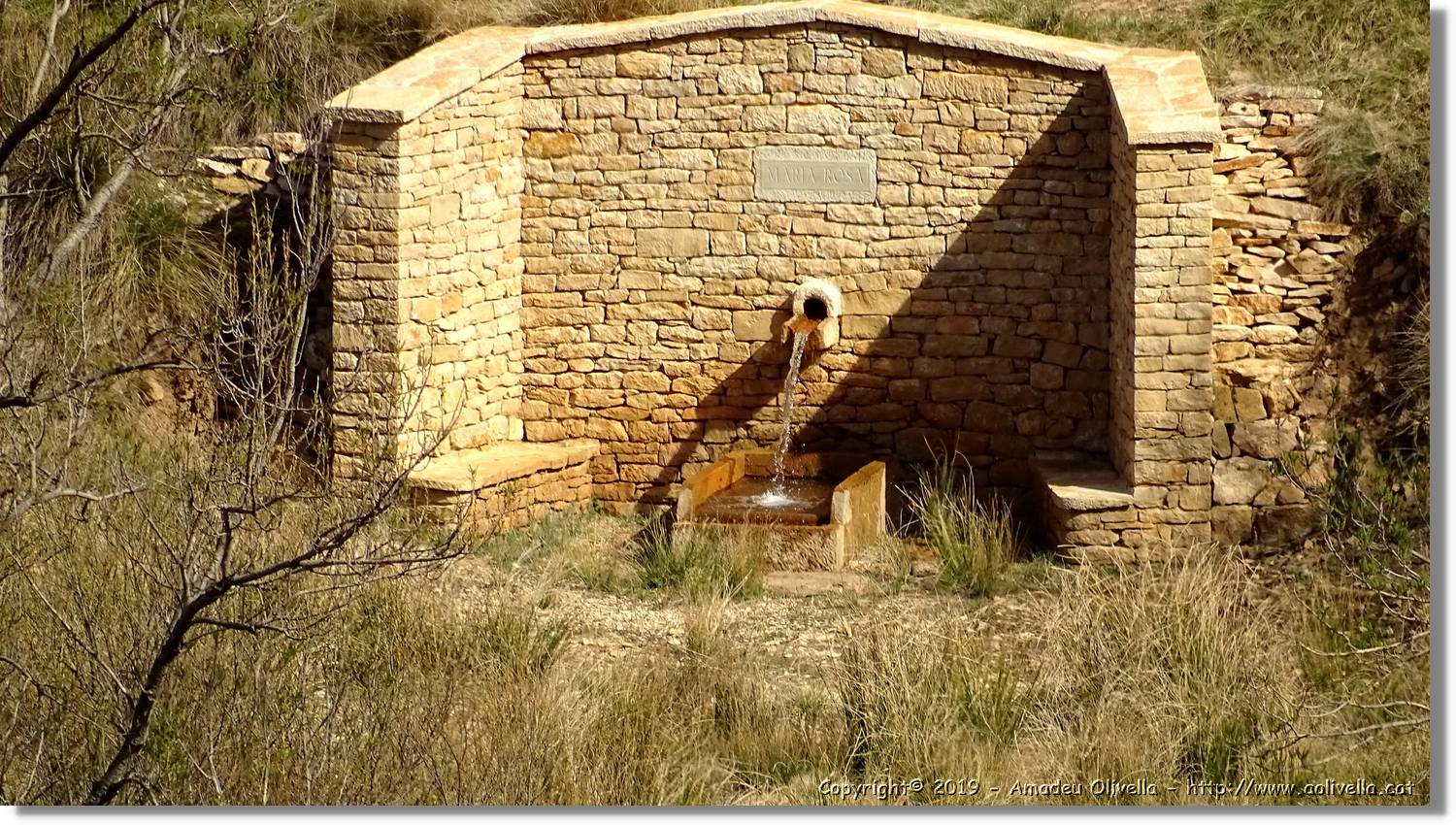 Pitarque_179.jpg
