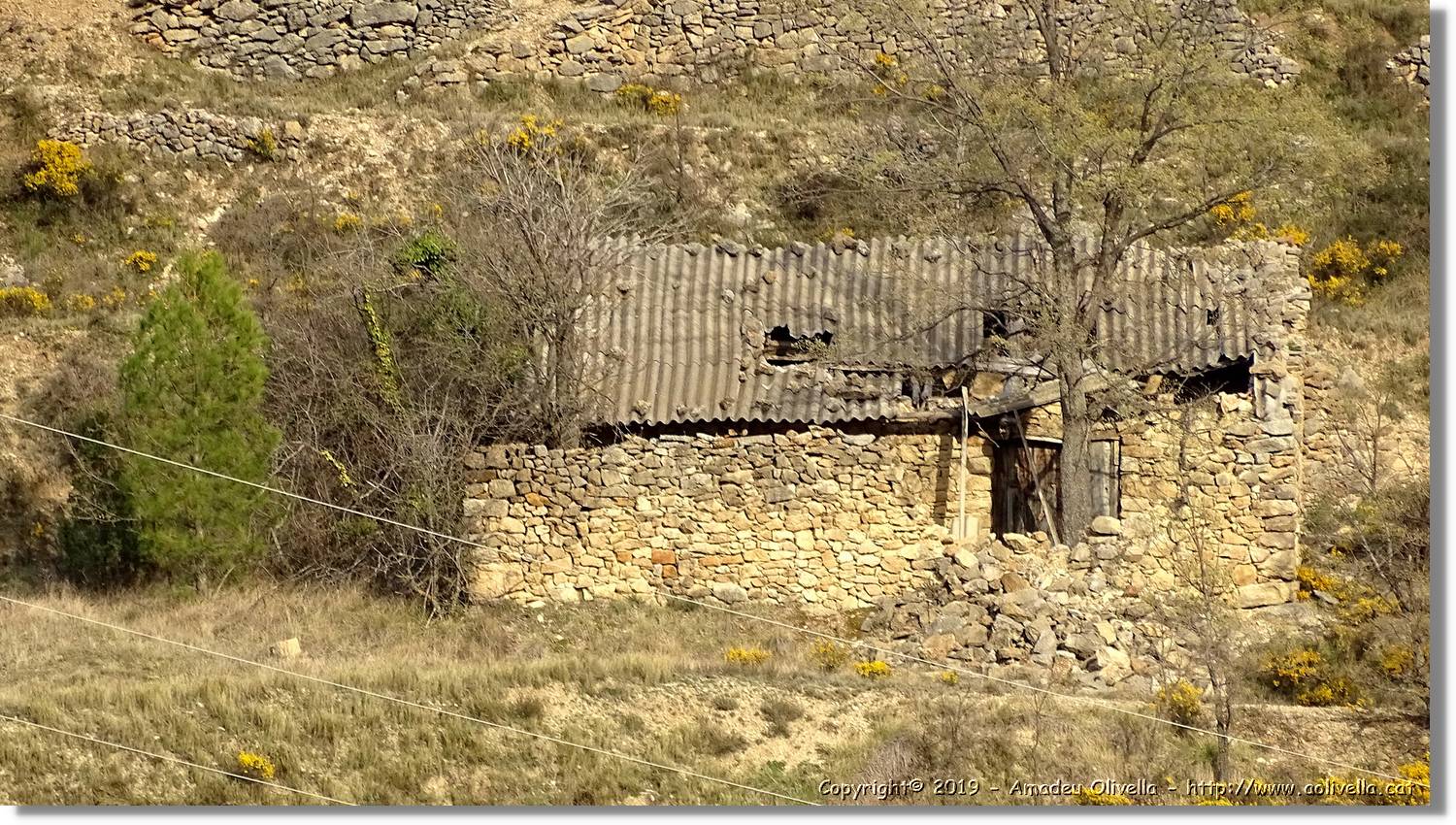 Pitarque_194.jpg