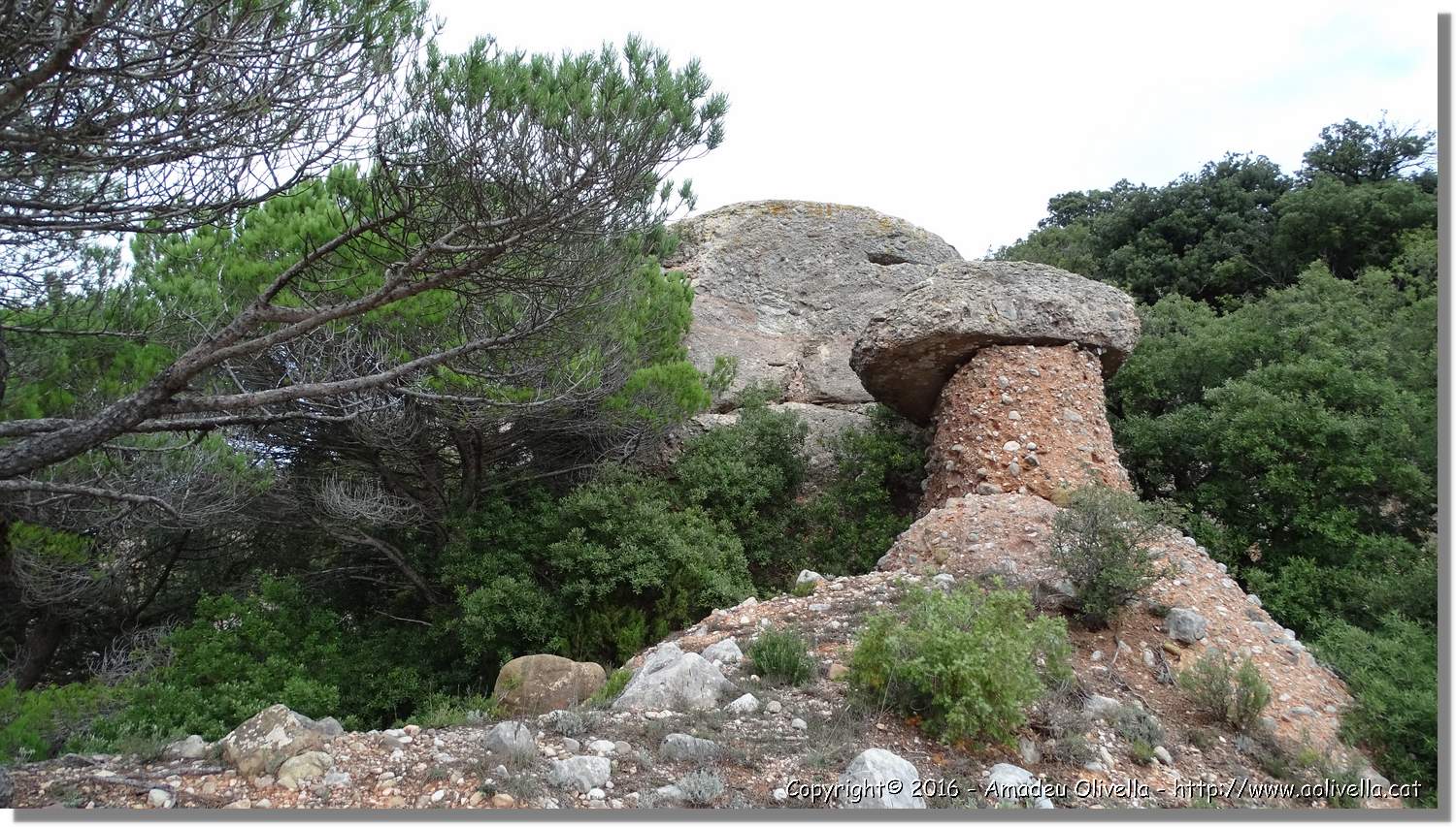 Llorenc_025.jpg