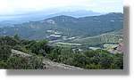 Llorenc_037.jpg