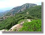 Llorenc_118.jpg