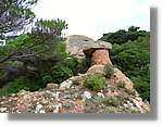 Llorenc_119.jpg