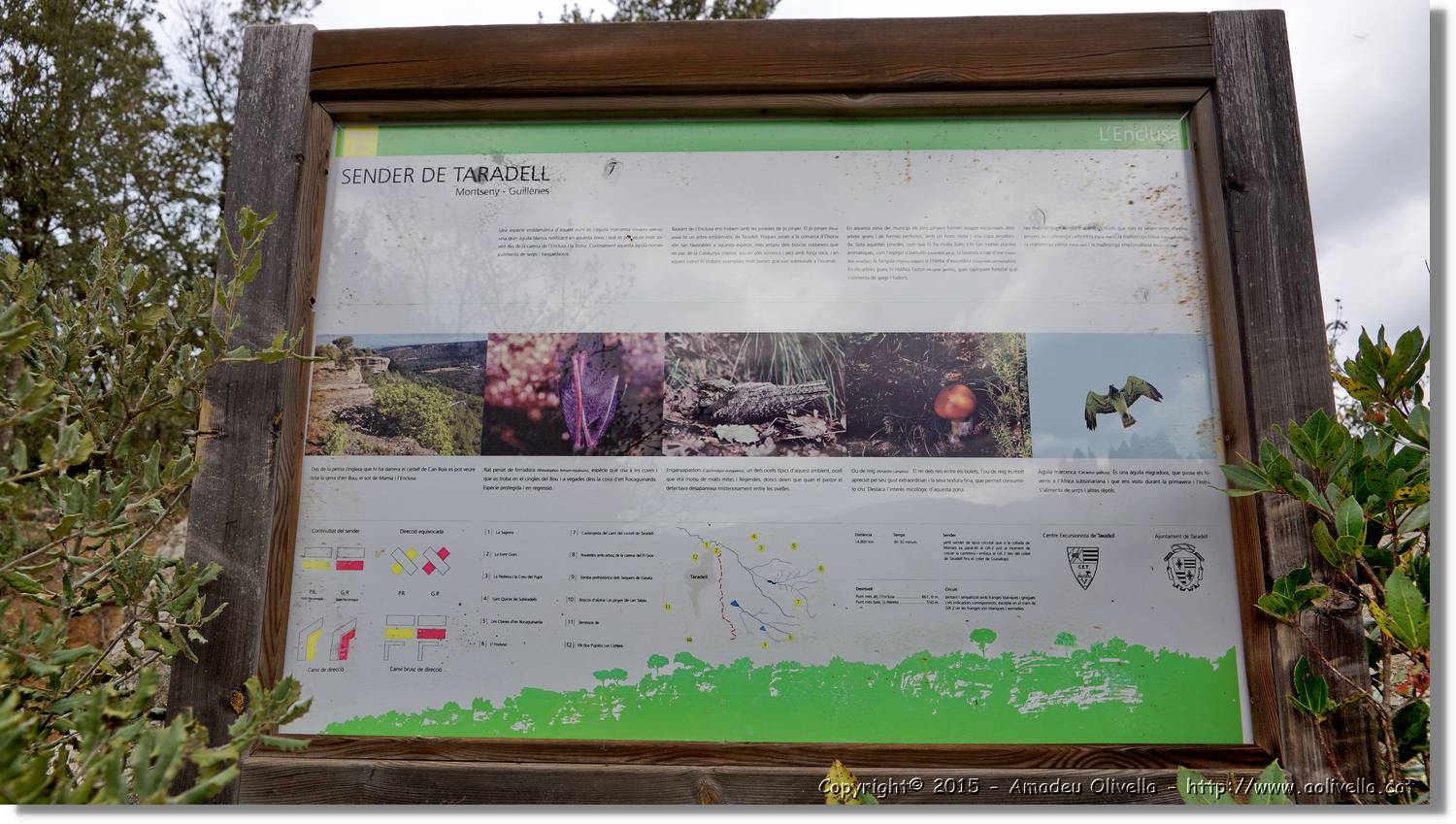 Taradell_071.jpg