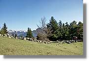 Montcorbison_015.jpg