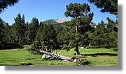 Aiguestortes_008.jpg